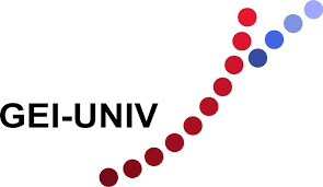 Préparation au dispositif GEI-UNIV | Paris, Toulouse, Lyon, Bordeaux, Lille, Marseille 